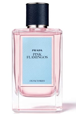 prada flamingo perfume